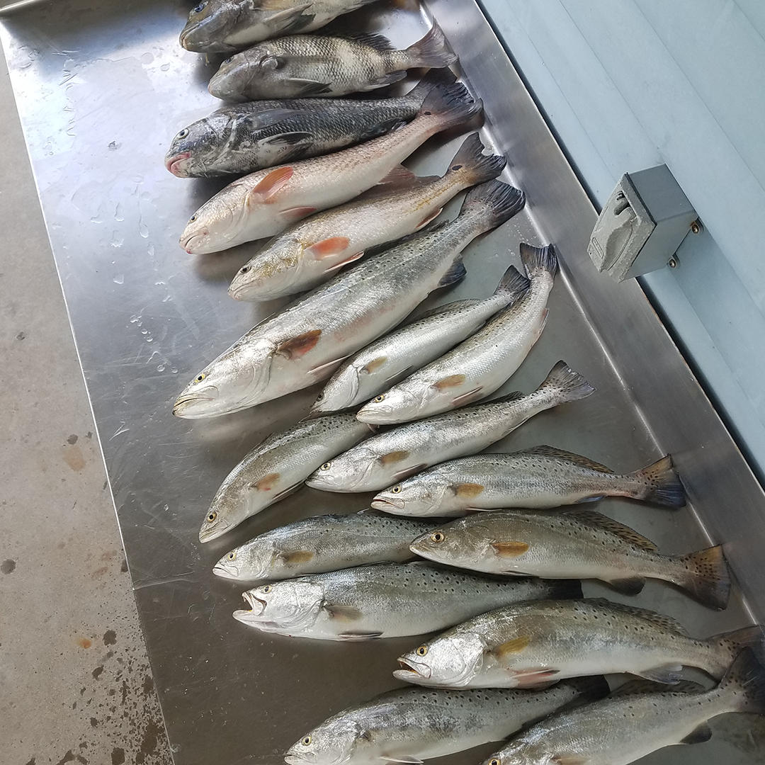 fishing with Capt. Blake Benson