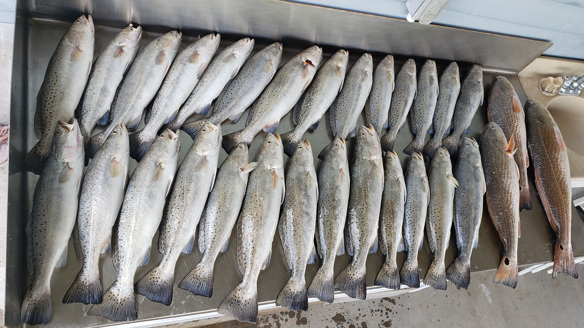 fishing with Capt. Blake Benson
